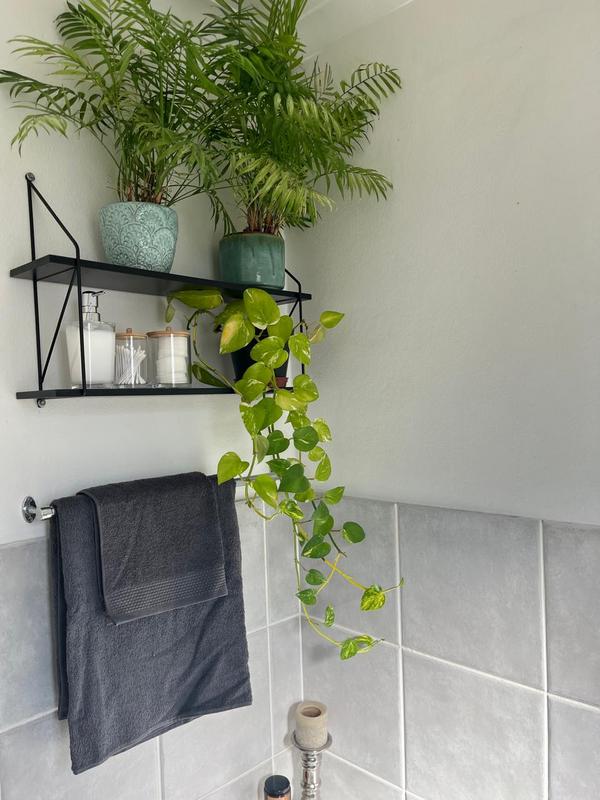 2 Bedroom Property for Sale in Vredehoek Western Cape